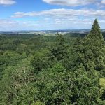 Blick vom Burgberg Turm